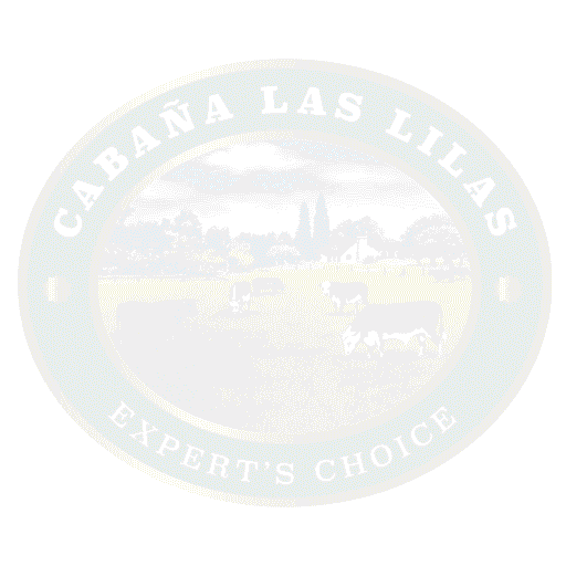 Carne Churrasco Sticker by Minerva Foods