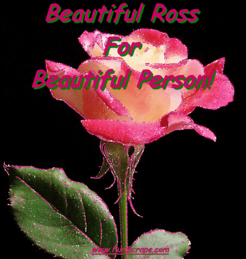 Beautiful Flowers GIFs Find & Share on GIPHY