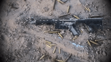 200.gif?cid=fc005b08b921d3f762dfcc8fc7db0617edce7b19dc7e1d44&rid=200.gif&ct=g