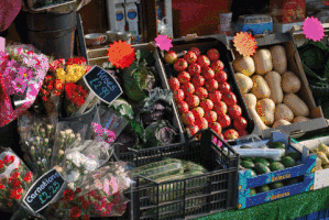 barriefoster pembrokeshire porthclais st davids cathedral bridge innovation centre GIF