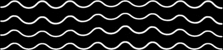 Suurseudunosuuskauppa GIF by SSO