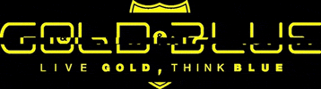 Gold_Blue logo glitch workout yellow GIF