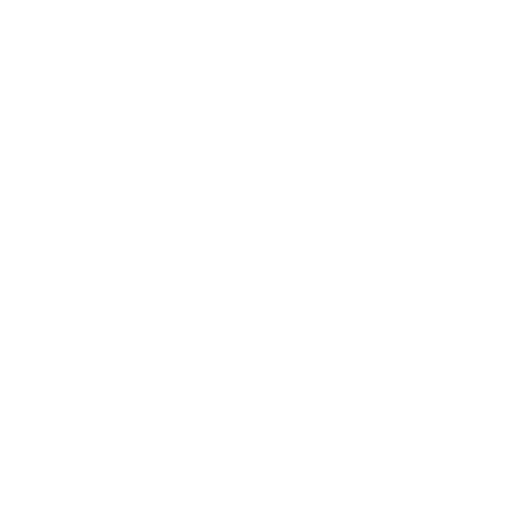 Delegazione FAI Sticker