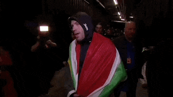 South Africa Sport GIF by UFC