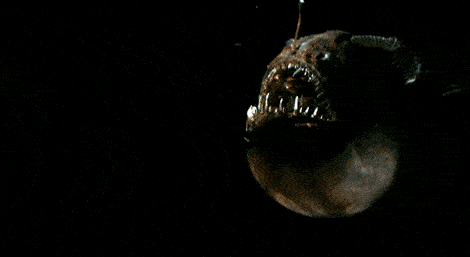 sea creature