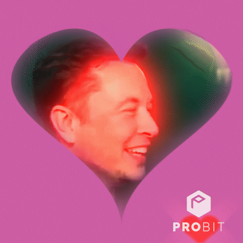 Invest Elon Musk GIF by ProBit Global