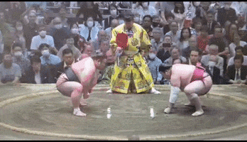 Sumo GIF