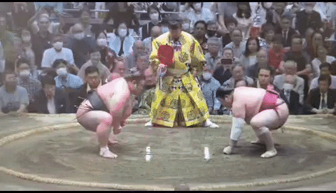 Sumo GIF - Find & Share on GIPHY