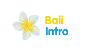 Travel Bali Sticker by Gap 360