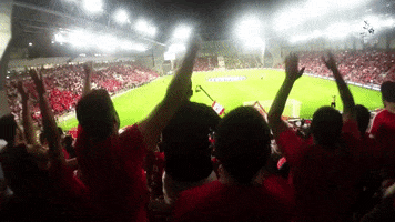 crowd bash GIF by IPFL