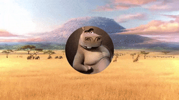 Madagascar 2 Rap GIF
