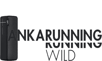 Boom Anka Sticker by ANKARUNNING