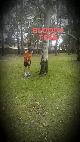 Golf GIF