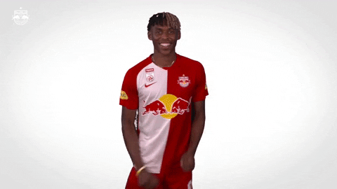 Giphy - Happy Dance GIF by FC Red Bull Salzburg