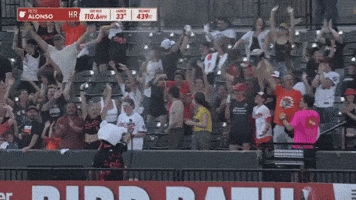 Home Run Homer GIF by MLB