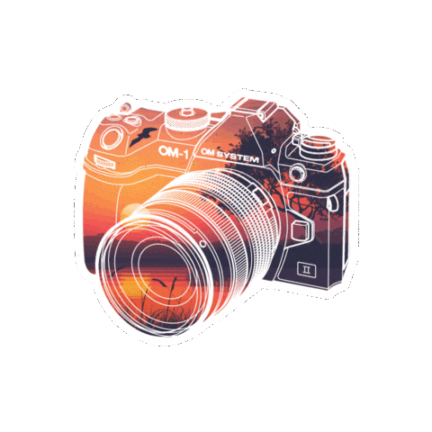 Camera Olympus Sticker by OM SYSTEM