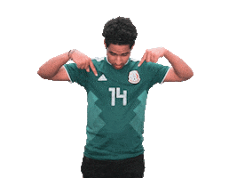 Mexico Sticker