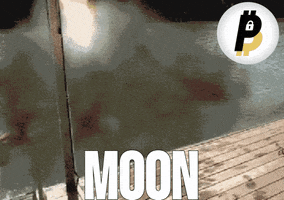 To The Moon GIF by BitPal
