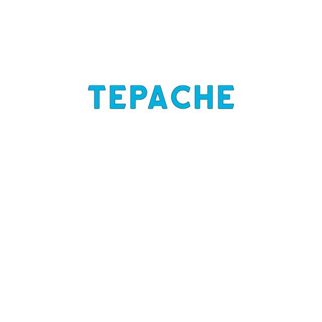 De La Calle Co. Tepache Sticker