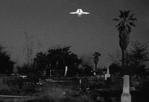 plan 9 from outer space trivia GIF by Maudit