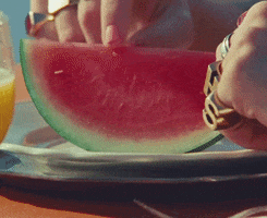 Watermelon Sugar GIF by Harry Styles
