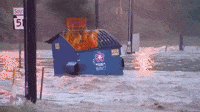 Dumpster Fire GIF by MOODMAN Dumpster Fire GIF by MOODMAN