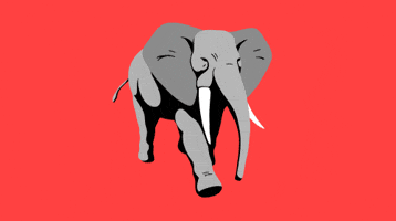 Animation 2D GIF by Benjy Brooke