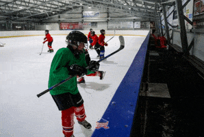 Hockey GIF