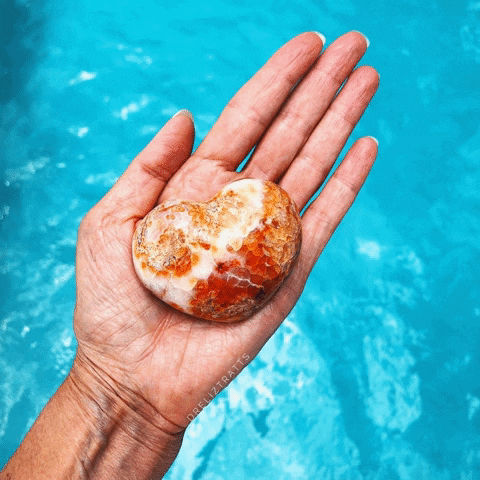 Dr. Elizabeth Trattner GIF