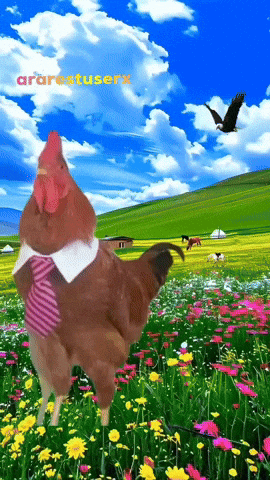Rooster Screaming GIF