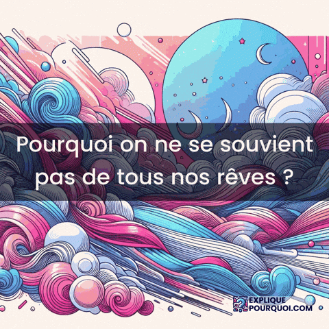 Sommeil Paradoxal GIF by ExpliquePourquoi.com