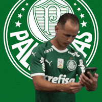 come here mobile phone GIF by SE Palmeiras