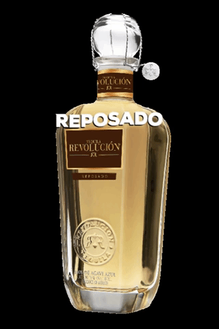 Party Nightlife GIF by Tequila Revolución USA