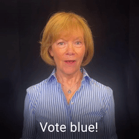 Vote blue!