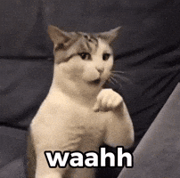 Bruce Lee Fighting GIF
