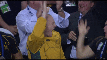 high five stirling mortlock GIF by World Rugby