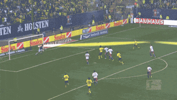bundesliga kuba GIF by Borussia Dortmund
