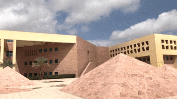 texas am college GIF by Texas A&M University