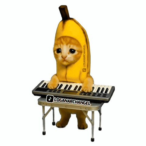 Banana Cat GIF