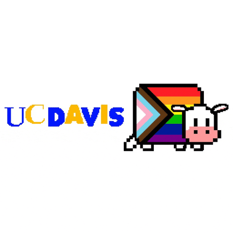 Gay Pride GIF by UC Davis