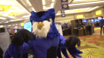 owl it nation GIF by ConnectWise