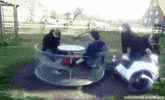 100.gif?cid=20e14a2a4jorngym1igx1rgalldr59sivz2gz2ziwhnheoa7&rid=100.gif