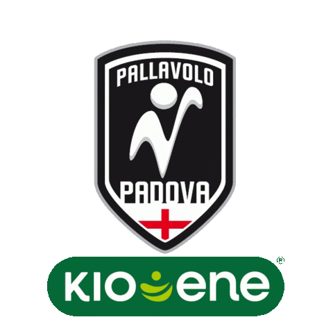 Pallavolo Padova Sticker