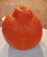 orange peel point GIF