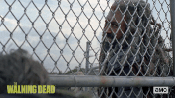 twd GIF by The Walking Dead