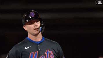 Pete Alonso Baseball GIF by New York Mets