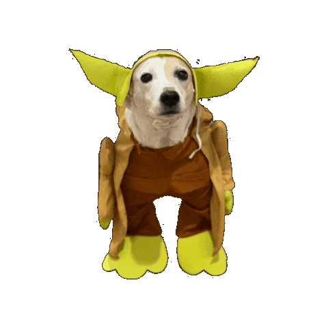 Star Wars Art Sticker by Museu Del Comic