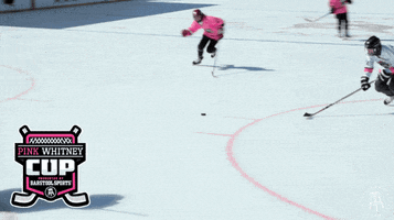 Hockey Goal GIF by Barstool Sports