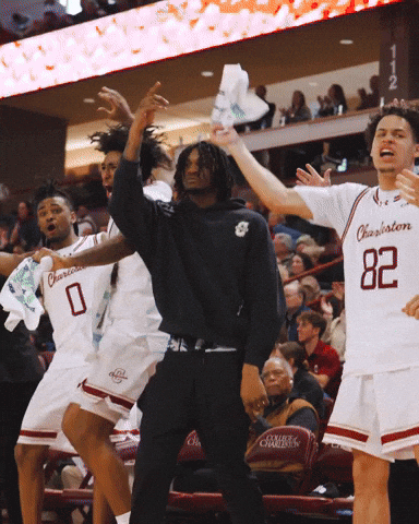 GIF by Charleston Basketball