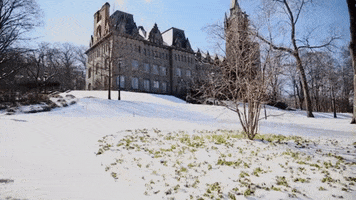Snow Winter GIF by Lehigh University